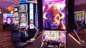 bee ph casino